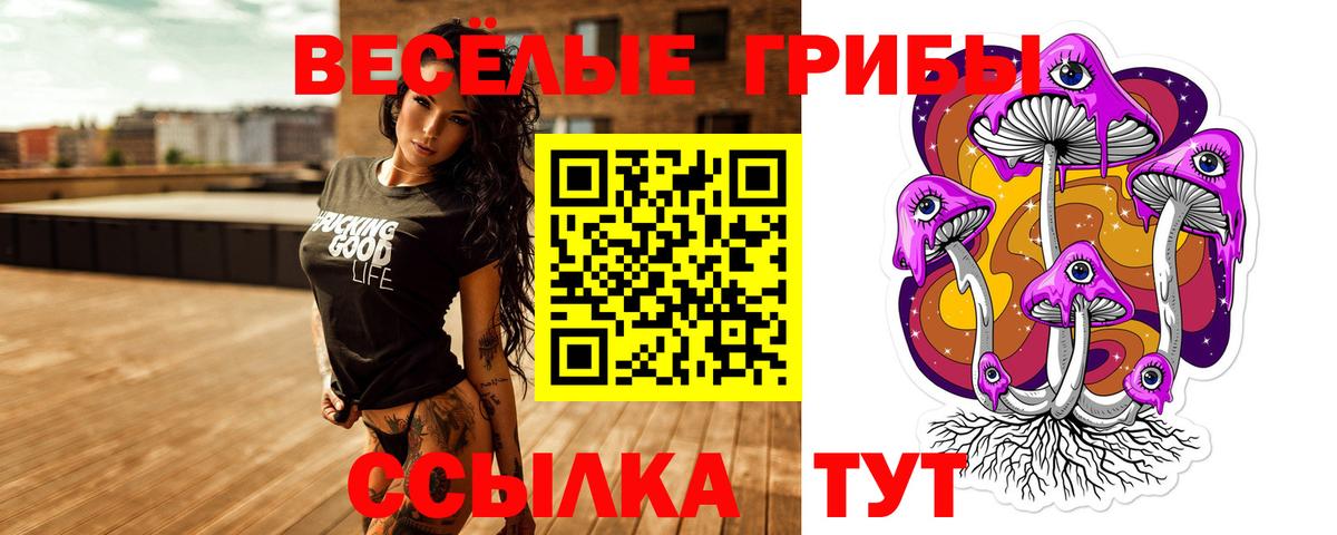 Псилоцибиновые грибы Psilocybine cubensis Артём