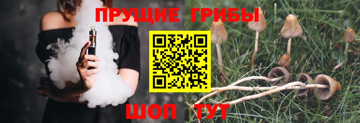 цены наркотик  Вход с VPN  Артём  Галлюциногенные грибы Cubensis 